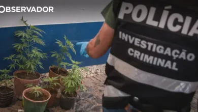 Quatro homens detidos por tráfico de droga
