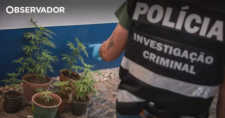Quatro homens detidos por tráfico de droga