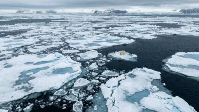 Reconstrução do Ártico? Ciência tem plano para ‘devolver’ o gelo global