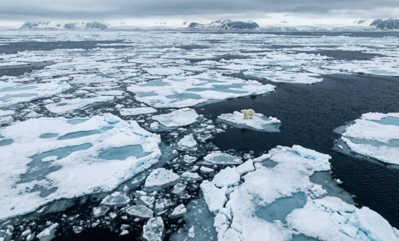 Reconstrução do Ártico? Ciência tem plano para ‘devolver’ o gelo global