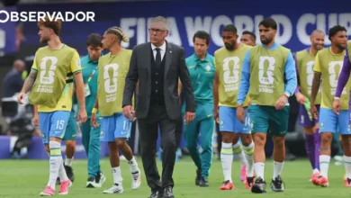 Seleção brasileira "parece não ter absorvido as lições"