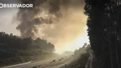 Situação de alerta prolongada até quinta em dez distritos