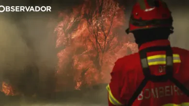 Suspeito detido por atear fogo florestal em Vinhais