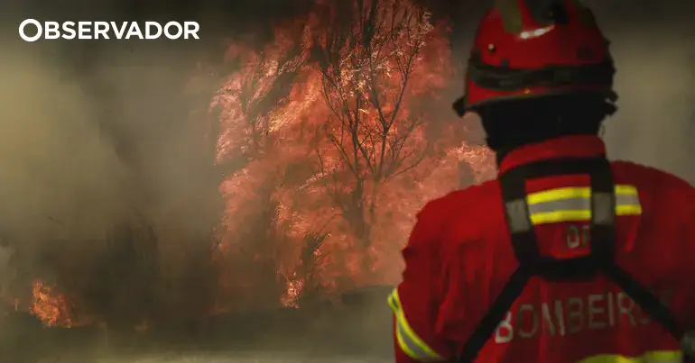 Suspeito detido por atear fogo florestal em Vinhais