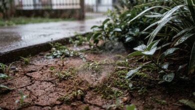 Tempo muda novamente! Veja os estados que terão chuva e queda de temperatura