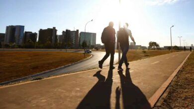 Tomar sol basta? Mitos e verdades sobre a vitamina D, segundo a ciência