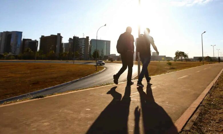 Tomar sol basta? Mitos e verdades sobre a vitamina D, segundo a ciência