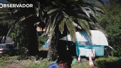 Tribunal adia ação contra loteamento da Quinta dos Ingleses