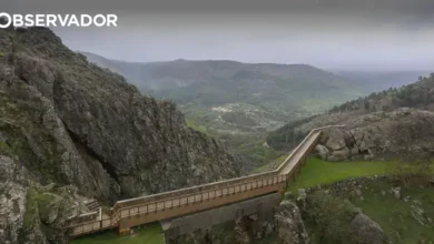 Verão "memorável" na Guarda com 200 iniciativas da Câmara