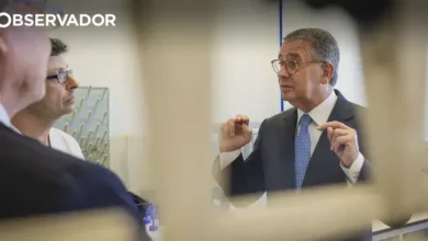 "Algoritmo que decide sem explicar" é o novo Adamastor