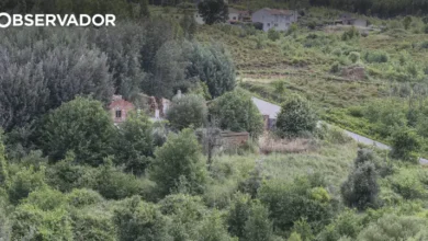 "Gestão de fogos faz-se ao nível local"