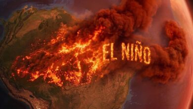 Amazônia pode pagar caro pela intensificação do El Niño