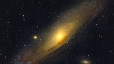 A IC 1101 tem cerca de 1,7 milhão de anos-luz e pode ser a maior galáxia conhecida. (Imagem: ArWeltAtty Attila/Pexels)