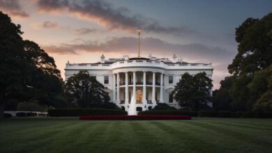 Democratas e aliados conservadores de Trump criticam resposta do governo à IA