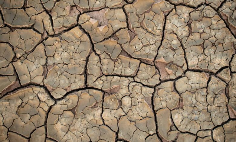 Desertificação do solo avança no Brasil e ameaça cerca de 39 milhões de pessoas