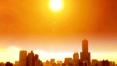 El Niño: Brasil pode ter ao menos seis ondas de calor até o fim do ano