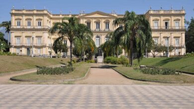 Fósseis mais antigos que dinossauros chegam ao Museu Nacional