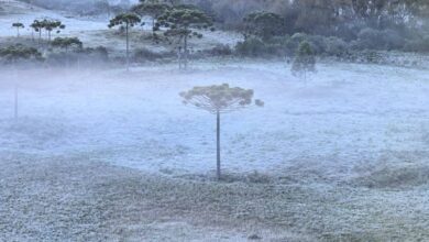 Frente fria avança e traz risco de geada e ventania no fim de semana