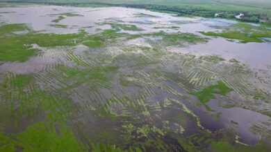 Há 2 mil anos, agricultores controlavam sistemas de água monumentais