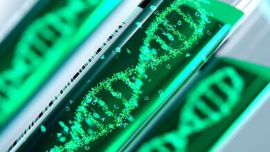 IA decifra sequência de DNA presente em 60% dos genes humanos