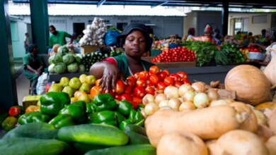 Moçambique soma três trimestres positivos