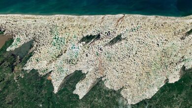 NASA revela o “deserto” brasileiro onde a areia dá lugar a milhares de lagoas