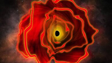 Nem estrela, nem buraco negro: este gigante misterioso desafia astrônomos