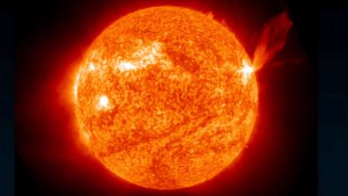 Novo modelo de IA detecta mudanças no Sol antes de serem visíveis