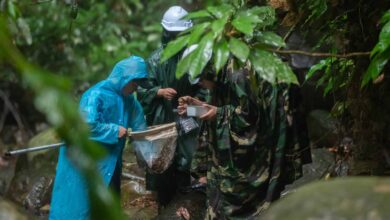 O que rios, florestas e animais podem revelar sobre a próxima pandemia