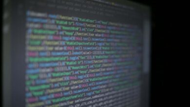 O que são e como surgiram os bugs de software? E por que eles podem ser cada vez mais devastadores?