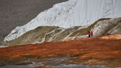 Por que as Cataratas de Sangue deixaram o gelo da Antártica vermelho?