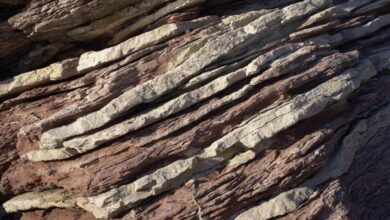 Rocha de 3,5 bilhões de anos na Índia pode preservar sinais de algumas das primeiras formas de vida. (Imagem: Umay Isik/Pexels)