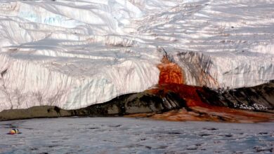 Sob as Cataratas de Sangue, cientistas encontram vestígios de um mundo perdido na Antártica