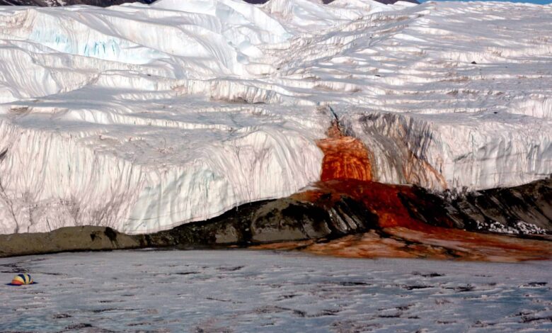 Sob as Cataratas de Sangue, cientistas encontram vestígios de um mundo perdido na Antártica
