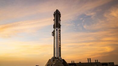 SpaceX: Starship deve voar pela 14ª vez ainda em agosto com novidade