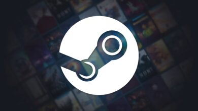 Steam sofre vazamento de 12 TB com versões internas de jogos armazenadas por anos