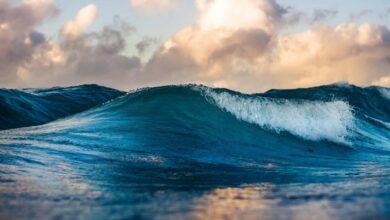 Temperatura dos oceanos bate recorde histórico e acende alerta climático mundial