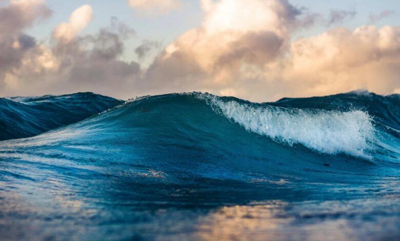 Temperatura dos oceanos bate recorde histórico e acende alerta climático mundial