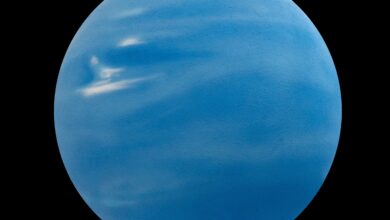 Webb revela que uma lua pode ter destruído o sistema original de Netuno