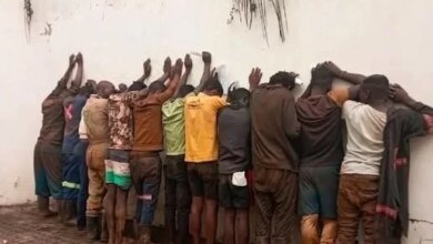 3 moçambicanos detidos em Mpumalanga por imigração ilegal