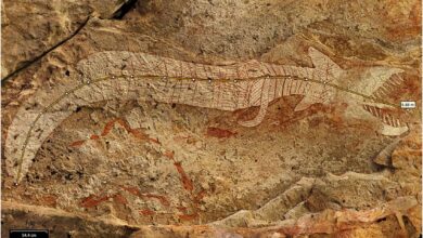 Artistas aborígenes pintaram seres ancestrais gigantes e um novo estudo aponta possíveis significados