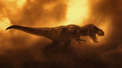Autópsia de 66 milhões de anos mostra como maior T. rex do mundo morreu