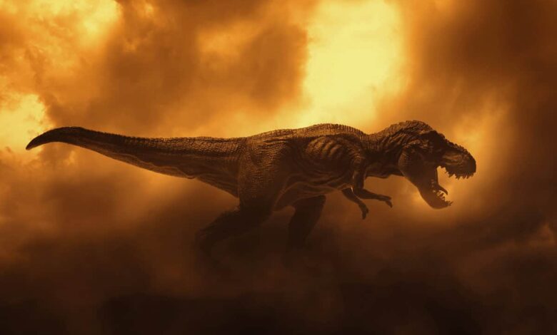 Autópsia de 66 milhões de anos mostra como maior T. rex do mundo morreu