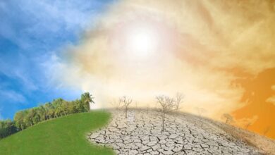 Chuva, calor e seca: como o El Niño pode afetar o Brasil nos próximos meses
