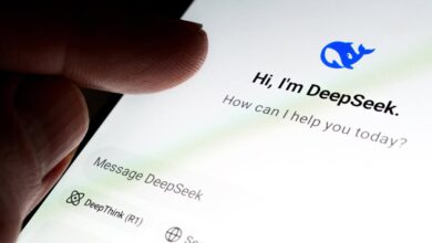 DeepSeek é convidada pela ONU para discutir riscos da inteligência artificial e segurança internacional