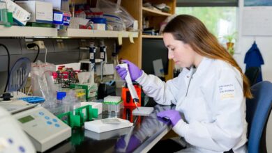 Rachelle Stark, coautora de uma nova pesquisa da UC Berkeley, investiga o composto experimental TOFA, que demonstrou potencial para queimar gordura sem perda muscular em camundongos obesos.