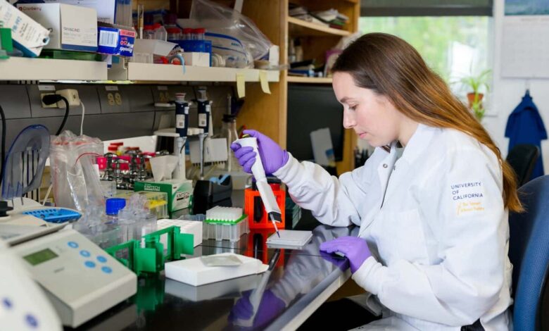 Rachelle Stark, coautora de uma nova pesquisa da UC Berkeley, investiga o composto experimental TOFA, que demonstrou potencial para queimar gordura sem perda muscular em camundongos obesos.