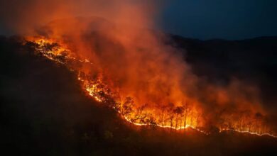El Niño se intensifica e aumenta riscos para várias regiões do Brasil