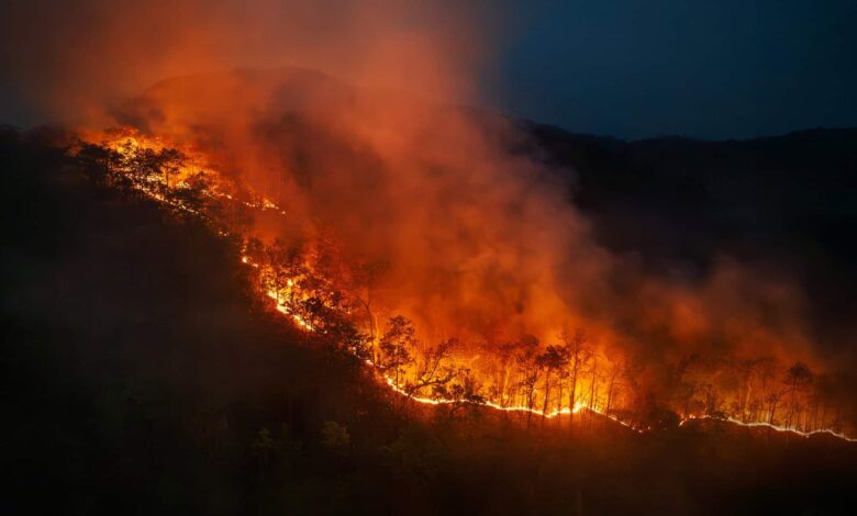 El Niño se intensifica e aumenta riscos para várias regiões do Brasil