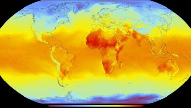 El Niño vai ficar muito forte e mudar o clima até 2027